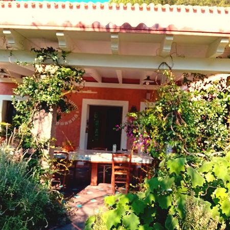 La Fattoria Delle Tartarughe Villa San Gregorio  Eksteriør billede
