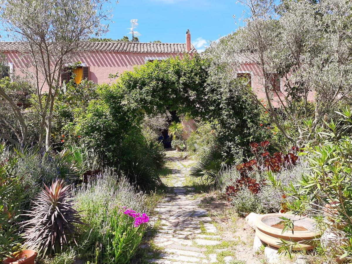 La Fattoria Delle Tartarughe Villa San Gregorio  Eksteriør billede