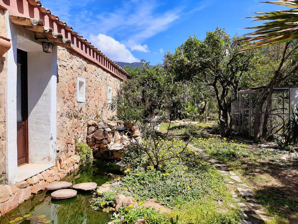 La Fattoria Delle Tartarughe Villa San Gregorio  Eksteriør billede