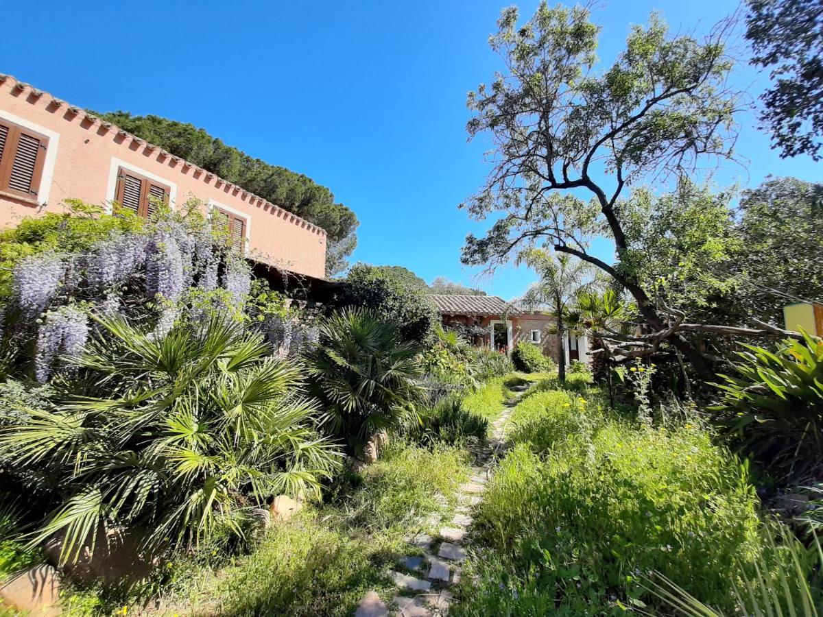 La Fattoria Delle Tartarughe Villa San Gregorio  Eksteriør billede