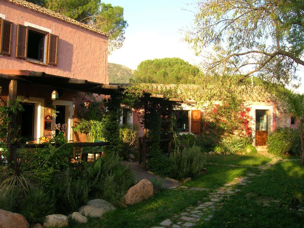 La Fattoria Delle Tartarughe Villa San Gregorio  Eksteriør billede