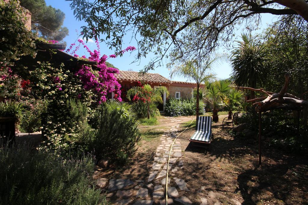 La Fattoria Delle Tartarughe Villa San Gregorio  Eksteriør billede