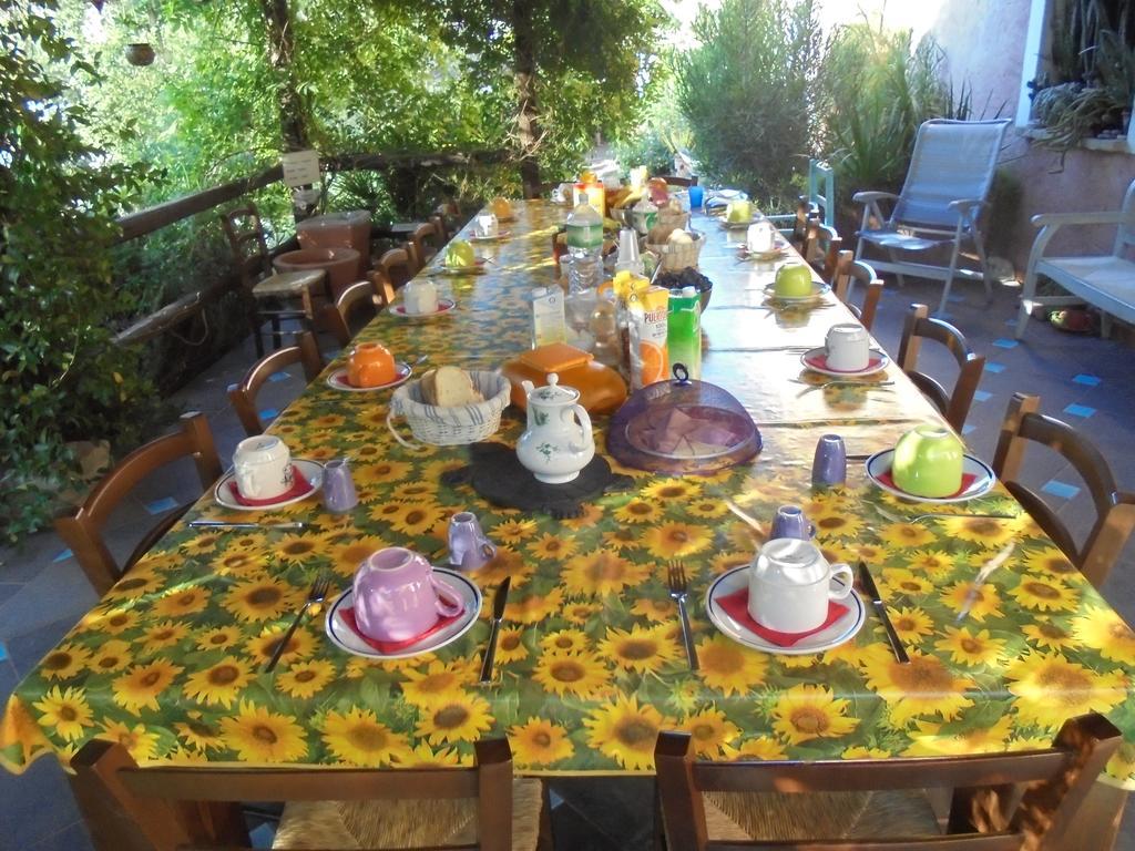 La Fattoria Delle Tartarughe Villa San Gregorio  Eksteriør billede
