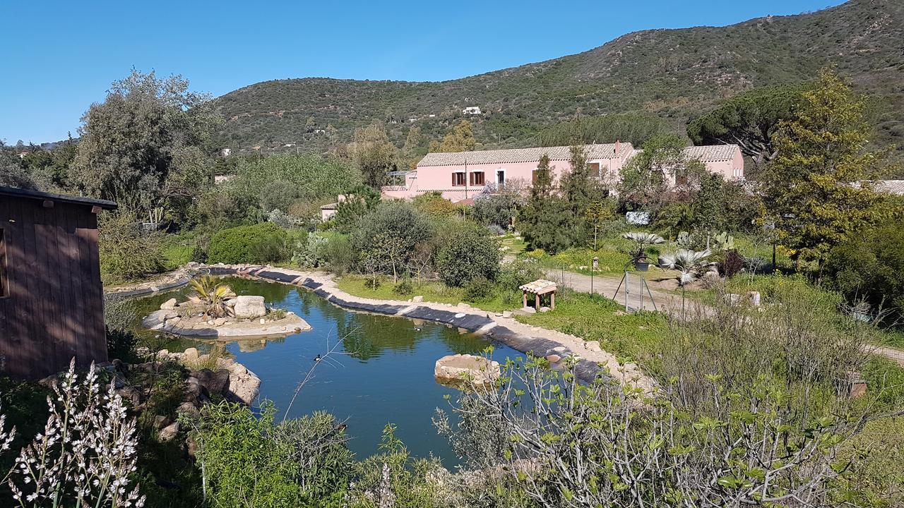 La Fattoria Delle Tartarughe Villa San Gregorio  Eksteriør billede